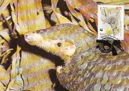 Macao 1995 Maxicard Sc #767 1.50p Chinese Pangolin WWF - Maximumkarten