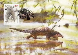 Macao 1995 Maxicard Sc #768 1.50p Chinese Pangolin WWF - Tarjetas – Máxima