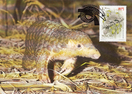 Macao 1995 Maxicard Sc #769 1.50p Chinese Pangolin WWF - Maximumkaarten