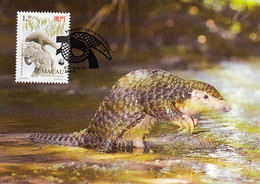 Macao 1995 Maxicard Sc #770 1.50p Chinese Pangolin WWF - Maximum Cards