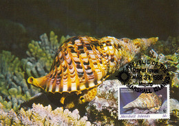 Delcampe - Marshall Islands 1986 Maxicard Sc #110 14c Triton's Trumpet Snail WWF - Marshall