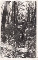 AUSTRALIEN Canberra 1955, Motorad Und Auto Fahren Durch Waldweg, Fotokarte Gel.1955 - Canberra (ACT)