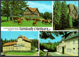 E1435 - TOP Tambach Dietharz Hotel Ebertwiese Rotebachmühle Ho Gaststätte Waldbaude - Auslese Bild Verlag - Tambach-Dietharz
