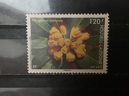 Nieuw-Caledonië / New Caledonia - Flora (120) 2015 - Usati