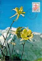 FRANCE CARTE MAXIMUM NUM.YVERT T100 ANCOLIE AQUILEGIA TRITERNATA - FLEUR - FLOWER - Otros & Sin Clasificación