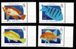 Ref 1401 -  2008 - St Helena - Fish - MNH Stamps - SG 1058 - 1061 - Saint Helena Island