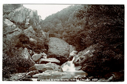 Ref 1402 - Early Real Photo Postcard - Feline Wydd Rocks - Einion Valley Wales - Municipios Desconocidos