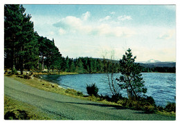 Ref 1402 - J. Arthur Dixon Postcard - Loch Garten Strathspey Inverness-shire Scotland - Inverness-shire