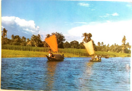 #907   Boats In The Full River Of Bangladesh - Postcard - Bangladesch