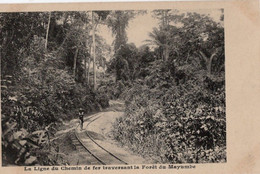 MAYUMBE - LA LIGNE DU CHEMIN DE FER TRAVERSSANT LA FÔRET DE MAYUMBE. - Congo Belge