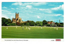 Ref 1404 - Postcard - Cricket Match - Worcester Cricket Ground - Sports Theme - Críquet