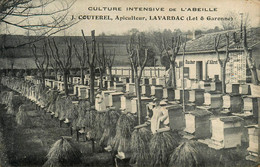 Lavardac * Apiculteur J. COUTEREL * Culture Intensive De L'abeille * Ruches Rucher Miel Apiculture - Lavardac