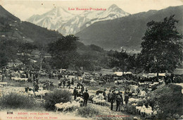 Béost * Vue Générale Du Champ De Foire * Près Laruns * Foire Marché Aux Moutons ? - Autres & Non Classés