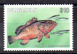 Bahamas Serie Nº Yvert 623 ** PECES (FISHS) - Bahamas (1973-...)