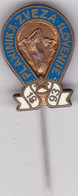 SLOVENIA  --  OLD PIN , BADGE  --  PLANINARSKA ZVEZA SLOVENIJE -  CLIMBING SOCIETY, MOUNTAINEERING, ALPINISM - Alpinisme