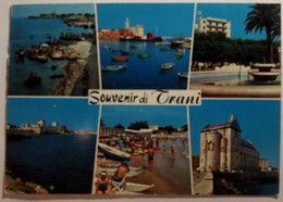 Delcampe - Souvenir Di Trani - Formato Grande Viaggiata – E 17 - Trani