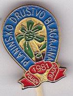 SLOVENIA  - PIN , BADGE  --  P. D. BLAGAJNA -  POLHOV GRADEC  --  CLIMBING SOCIETY, MOUNTAINEERING, ALPINISM - Alpinism, Mountaineering