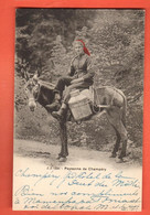 ZCA-05 Paysanne De Champéry Val D'Illiez, à Dos De Mulet.Maultier. Foulards Rouges. Jullien 1226.Circulé 1901 Précurseur - Champéry