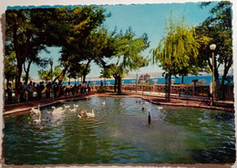 Delcampe - Taranto - Giardini Del Peripato - Lago Dei Cigni - Formato Grande Non Viaggiata – E 17 - Taranto