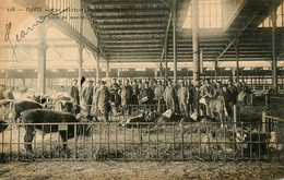 Paris * Les Abattoirs * Un Jour De Marché * Bestiaux - Autres & Non Classés