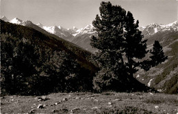 Chandolin - Vue De L'Hotel (11653) * 24. 8. 1954 - Phot. Gyger - Chandolin