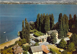 74 - Messery - Vue Aérienne - La Pointe De Messery - Messery