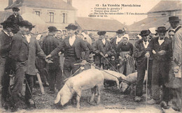 ¤¤  -  La VENDEE Maraichine   -   Marché Aux Cochons    -  Maraichins    -    ¤¤ - Other & Unclassified