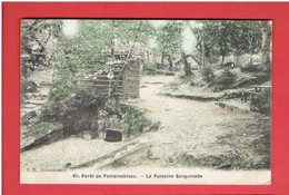 FONTAINEBLEAU FORET 1906 LA FONTAINE SANGUINEDE CARTE COLORISEE EN BON ETAT - Fontainebleau