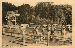 Mamers * La Piscine * Plongeoir Toboggan - Mamers