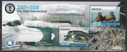 2008 Uruguay International Polar Year: Brown Skua, Antarctic Fur Seal Minisheet (** / MNH / UMM) - Anno Polare Internazionale