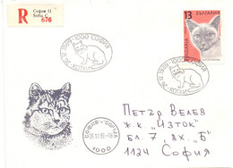 BULGARIA CATS COVER 1989 REGISTRED MAIL   (SETT200772) - Other & Unclassified