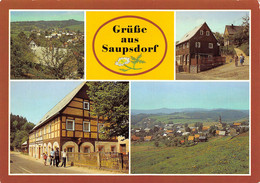 CPM - Grüsse Aus SAUPSDORF - Sebnitz