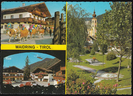 Austria - 6384 Waidring - Dorfplatz - Minigolf - Kühe - Cars - Waidring