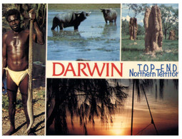 (Q 15) Australia - NT - Darwin  (aboriginal Men With Snake) - Aborigines
