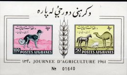 Landwirtschaft 1961 Afghanistan Block 8 B ** 10€ Imperf. Windhund Pferd Schaf Dromedar Horse Bloc Sheet Bf Afghanes - Afghanistan