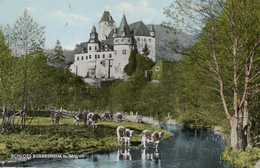 Schloss Bürresheim / Sankt Johann / Mayen (D-KW128) - Mayen