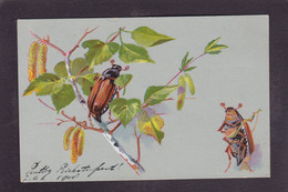 CPA Hanneton Insecte écrite Position Humaine - Insekten