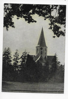 BASSEVELDE - DE KERK - Assenede