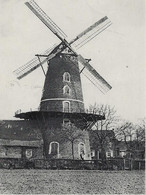 Sint Pauwels   -   Windmolen.   1960  Naar   Elsene - Sint-Gillis-Waas