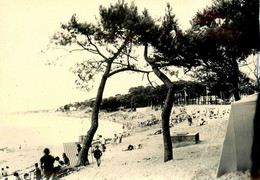 St Brévin Les Pins * La Courance Au Pointeau * RARE Photo Originale Archive F. CHAPEAU éditeur Photographe !!! - Saint-Brevin-les-Pins