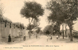 Fleurance * Souvenir De La Commune * Allées De La Vignette * Villageois - Fleurance