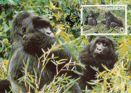 Rwanda 1985 Maxicard Sc #1209 15fr Mountain Gorilla WWF - Used Stamps