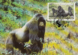 Rwanda 1985 Maxicard Sc #1211 30fr Mountain Gorilla WWF - Gebraucht