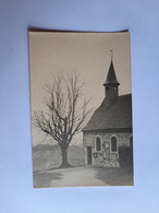 44208 -  Olne  Saint Hadelin   La Chapelle  Et Le Tilleul  -  Carte  Photo - Olne