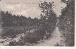 Holten - Holterberg, Het Berkenlaantje - Holten