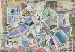 Australian. Areas Antarctica 25 Different Stamps  Australian Areas In The Antarctica - Collections, Lots & Séries