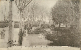 84  PIOLENC - PROMENADE DES MARRONNIERS - Piolenc