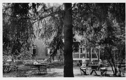 DC2477 - Ansichtskarte / Postkarte Steina Bei Bad Sachsa Harz, Waldschänke Steinatal - Inh.: Hugo Hillig - Bad Sachsa