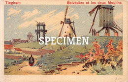 Belvédère Et Les Deux Moulins - Litho - Tiegem - Anzegem