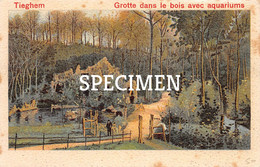 Delcampe - Grotte Dans Le Bois Avec Aquariums - Litho - Tiegem - Anzegem